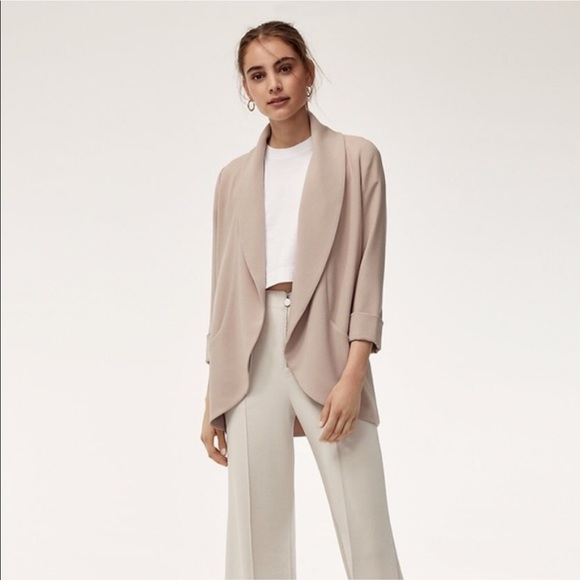 aritzia chevalier jacket